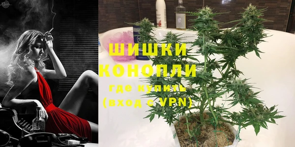 соль ск Богданович