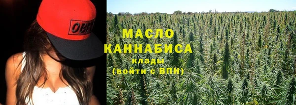 spice Богородск