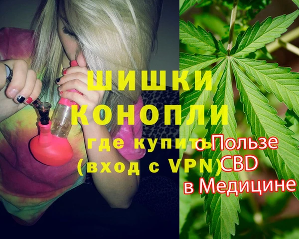 spice Богородск