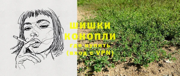 молекула духа Сатка