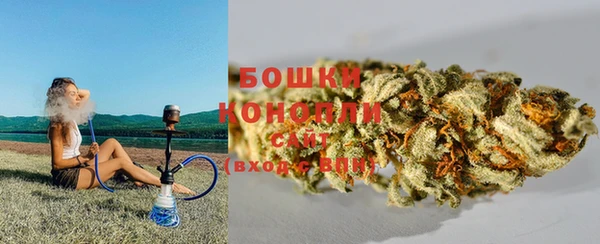 spice Богородск
