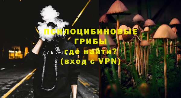 spice Богородск