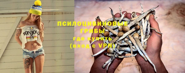 spice Богородск