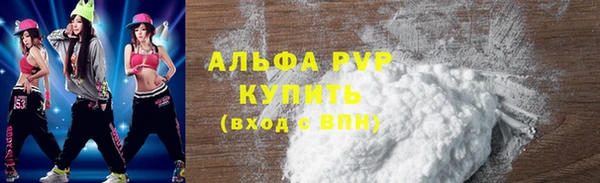 spice Богородск