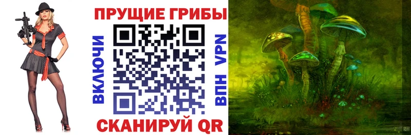 Галлюциногенные грибы Psilocybe  купить наркотик  Невель 